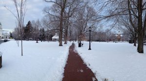 Common Gazebo Winter