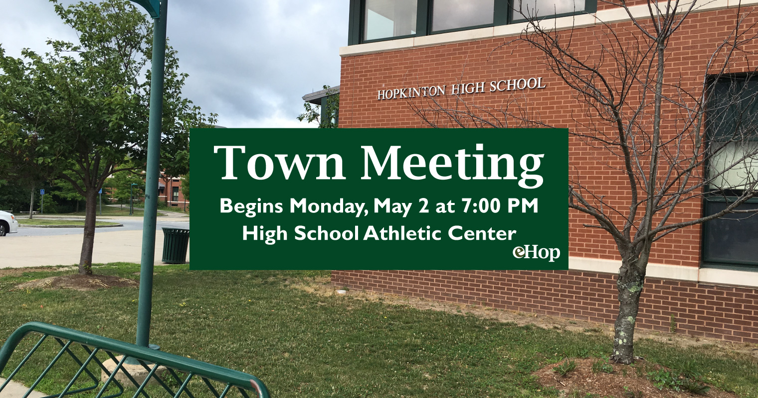 Town Meeting List of Articles with Details