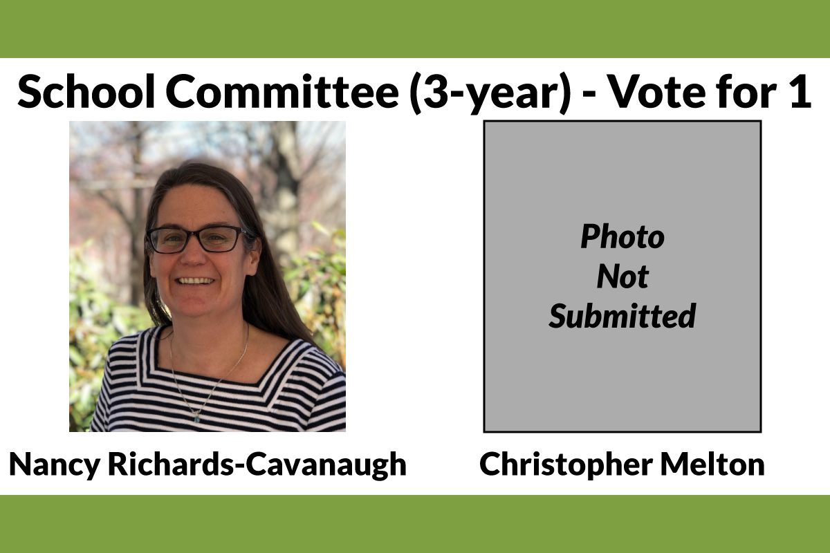 Meet the School Committee (3-Year) Candidates 2022
