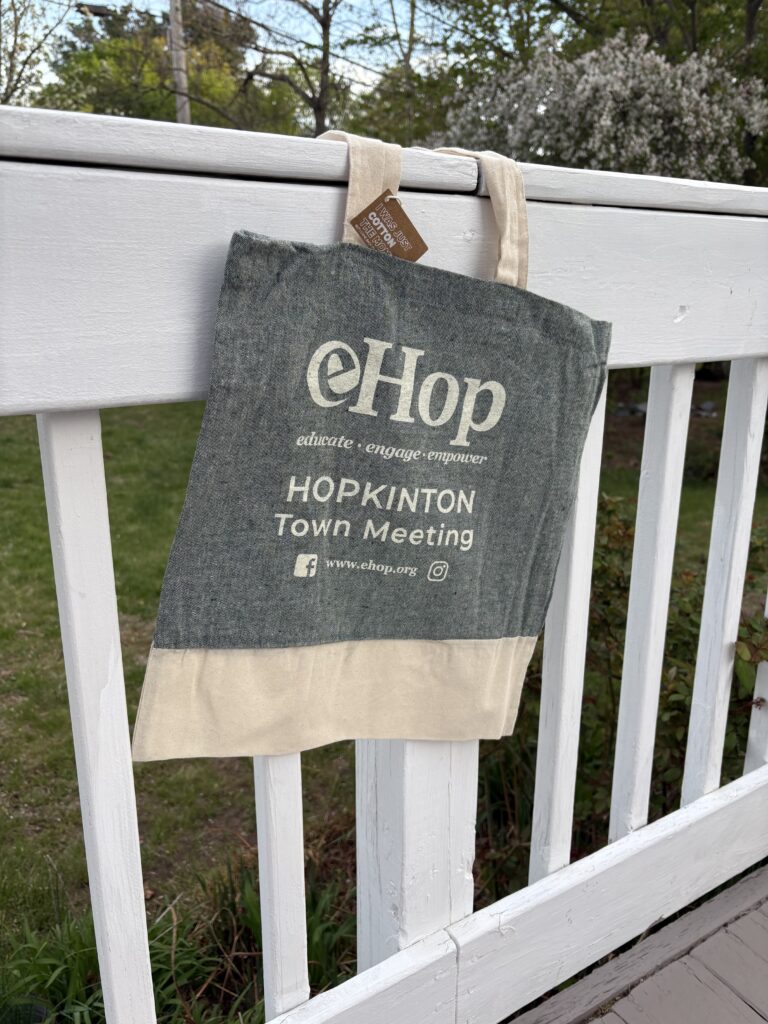 Cloth tote bag